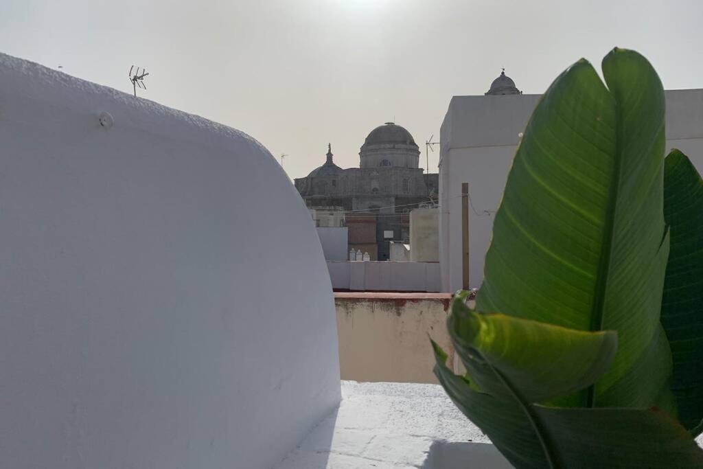 Hidden Gem Penthouse Populo Y Catedral Daire Cadiz Dış mekan fotoğraf