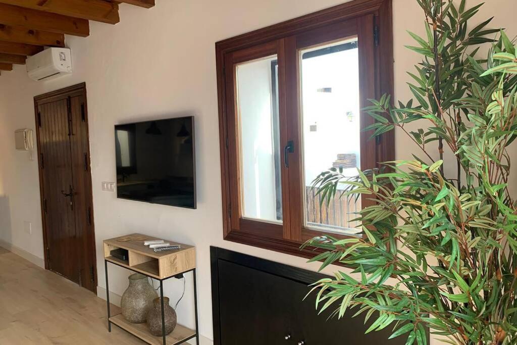 Hidden Gem Penthouse Populo Y Catedral Daire Cadiz Dış mekan fotoğraf